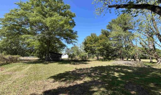 Photo #5 of 1811 Tranquil Rd., Mullins, SC 18.9 acres