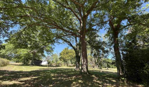 Photo #1 of 1811 Tranquil Rd., Mullins, SC 18.9 acres