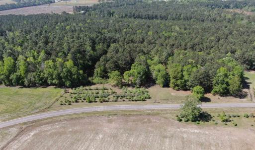 Photo #15 of 1811 Tranquil Rd., Mullins, SC 18.9 acres