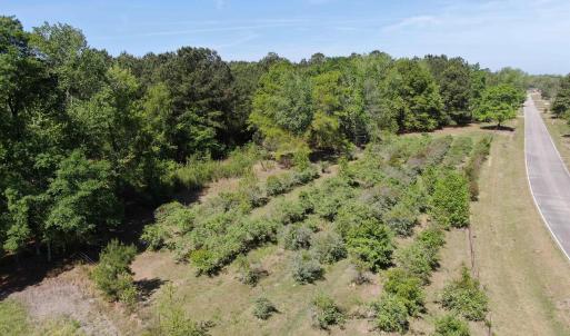 Photo #27 of 1811 Tranquil Rd., Mullins, SC 18.9 acres