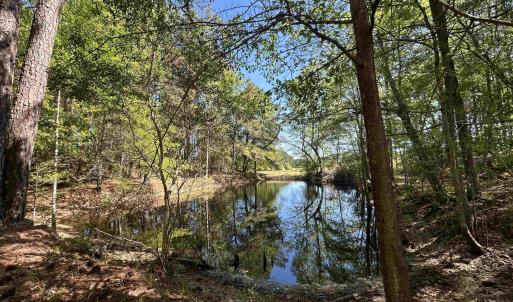 Photo #16 of 1811 Tranquil Rd., Mullins, SC 18.9 acres