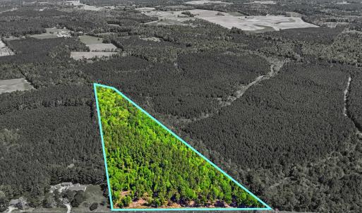 Photo #3 of TBD Highway 9, Loris, SC 17.0 acres