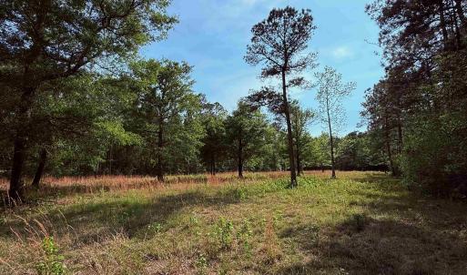 Photo #9 of 2400 Sunny Heights Rd., Longs, SC 2.0 acres