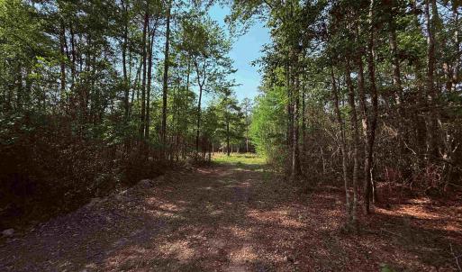 Photo #4 of 2400 Sunny Heights Rd., Longs, SC 2.0 acres
