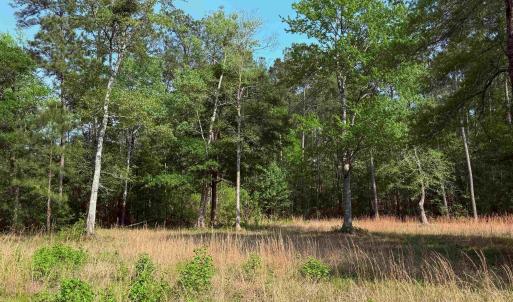 Photo #8 of 2400 Sunny Heights Rd., Longs, SC 2.0 acres
