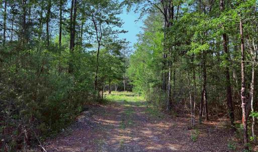 Photo #5 of 2400 Sunny Heights Rd., Longs, SC 2.0 acres