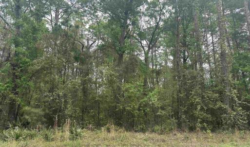 Photo #1 of TBD Creekside Dr., Myrtle Beach, SC 3.4 acres
