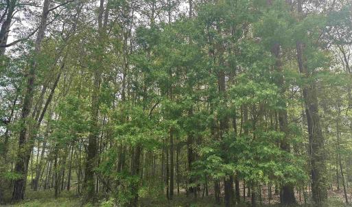 Photo #2 of TBD Creekside Dr., Myrtle Beach, SC 3.4 acres