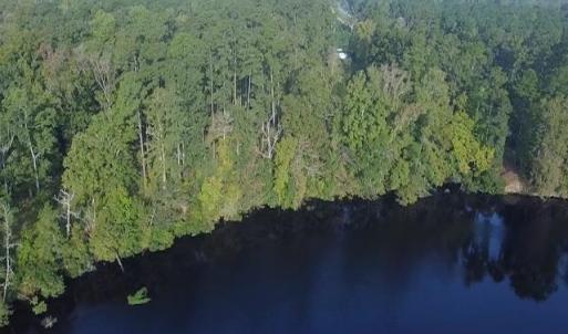 Photo #2 of TBD Browns Ferry Rd., Georgetown, SC 48.0 acres