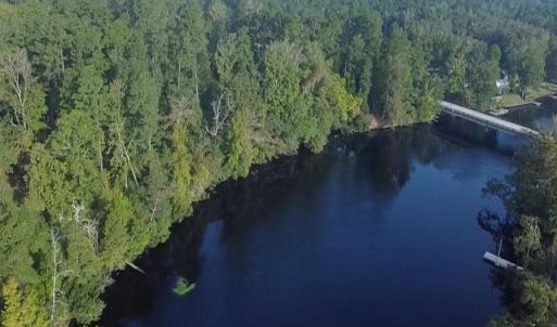 Photo #3 of TBD Browns Ferry Rd., Georgetown, SC 48.0 acres