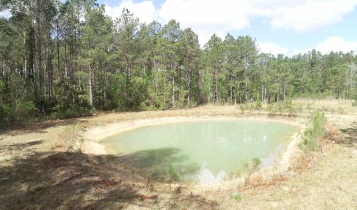 Photo #18 of 1267 School Bus Rd, Jamestown, SC 133.7 acres