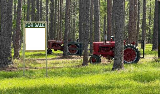 Photo #3 of 1267 School Bus Rd, Jamestown, SC 133.7 acres