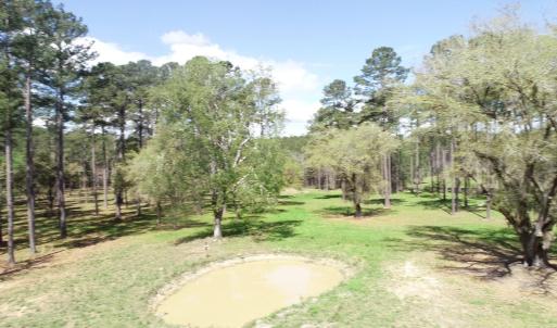 Photo #17 of 1267 School Bus Rd, Jamestown, SC 133.7 acres