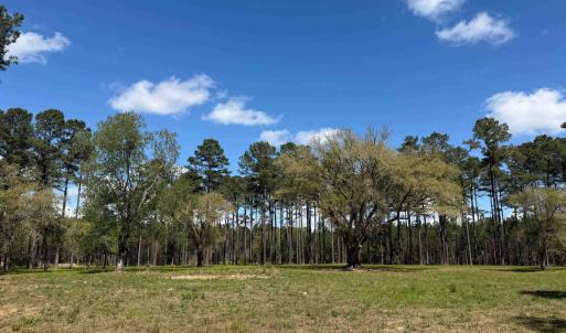 Photo #7 of 1267 School Bus Rd, Jamestown, SC 133.7 acres
