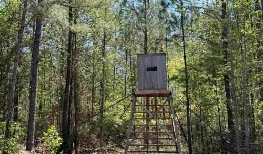 Photo #20 of 1267 School Bus Rd, Jamestown, SC 133.7 acres