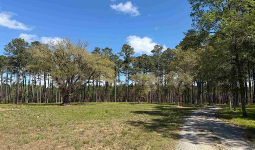 Photo #6 of 1267 School Bus Rd, Jamestown, SC 133.7 acres