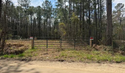 Photo #13 of 1267 School Bus Rd, Jamestown, SC 133.7 acres