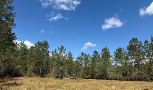 Photo #5 of 1267 School Bus Rd, Jamestown, SC 133.7 acres