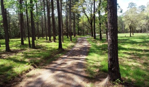 Photo #3 of 1267 School Bus Rd, Jamestown, SC 133.7 acres