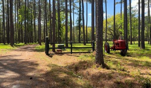 Photo #2 of 1267 School Bus Rd, Jamestown, SC 133.7 acres