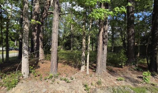 Photo #4 of 1408 Green St., Conway, SC 0.2 acres