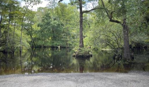 Photo #16 of 354 Red Breast Ct., Gresham, SC 0.4 acres