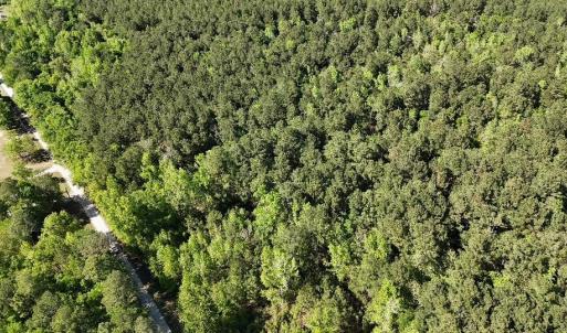 Photo #2 of TBD Cambridge Rd., Marion, SC 1.0 acres
