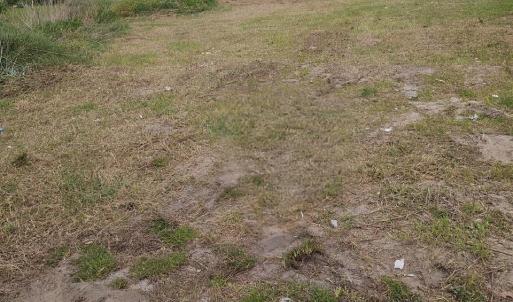 Photo #1 of TBD Twilight Rd., Dillon, SC 1.4 acres