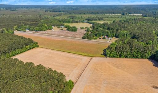 Photo #11 of TBD Ray Rd., Hemingway, SC 14.0 acres