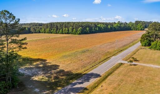 Photo #14 of TBD Ray Rd., Hemingway, SC 14.0 acres