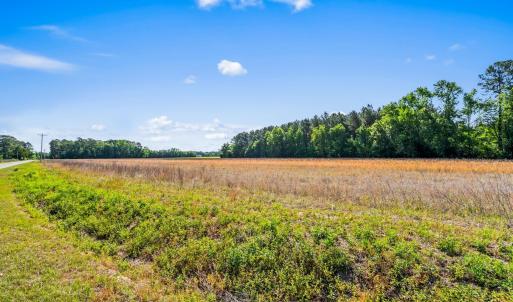 Photo #17 of TBD Ray Rd., Hemingway, SC 14.0 acres