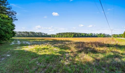 Photo #15 of TBD Ray Rd., Hemingway, SC 14.0 acres
