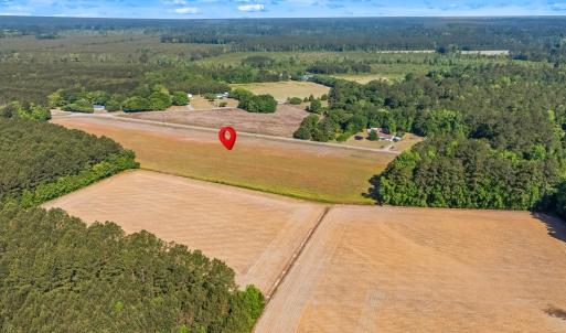 Photo #10 of TBD Ray Rd., Hemingway, SC 14.0 acres