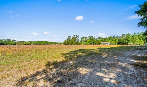 Photo #16 of TBD Ray Rd., Hemingway, SC 14.0 acres