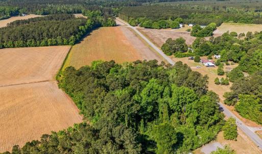 Photo #13 of TBD Ray Rd., Hemingway, SC 14.0 acres