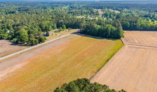 Photo #21 of TBD Ray Rd., Hemingway, SC 14.0 acres