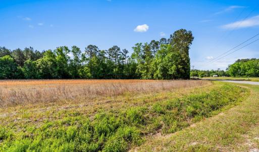 Photo #18 of TBD Ray Rd., Hemingway, SC 14.0 acres
