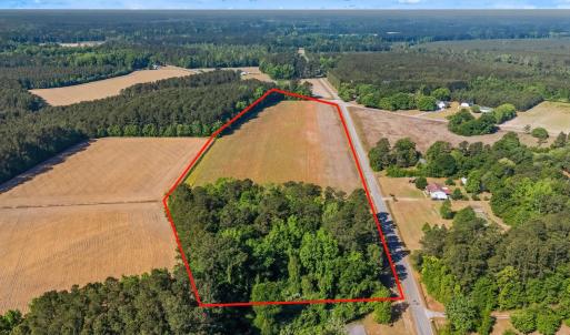 Photo #6 of TBD Ray Rd., Hemingway, SC 14.0 acres