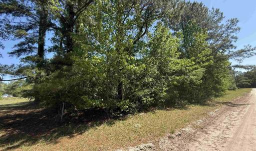 Photo #1 of TBD New Bridge Rd., Nichols, SC 0.7 acres