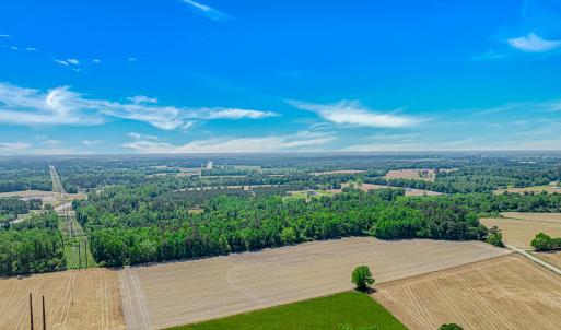 Photo #9 of TBD Trinidad Ard Rd, Coward, SC 39.0 acres