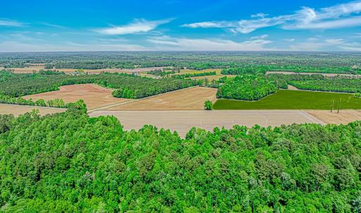 Photo #6 of TBD Trinidad Ard Rd, Coward, SC 39.0 acres