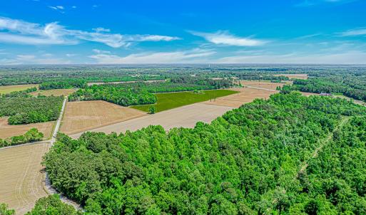 Photo #5 of TBD Trinidad Ard Rd, Coward, SC 39.0 acres
