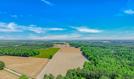 Photo #3 of TBD Trinidad Ard Rd, Coward, SC 39.0 acres