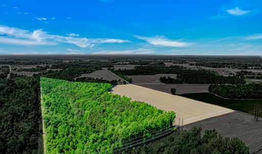 Photo #1 of TBD Trinidad Ard Rd, Coward, SC 39.0 acres