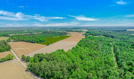 Photo #4 of TBD Trinidad Ard Rd, Coward, SC 39.0 acres