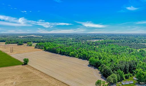 Photo #2 of TBD Trinidad Ard Rd, Coward, SC 39.0 acres