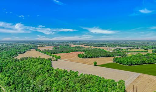 Photo #8 of TBD Trinidad Ard Rd, Coward, SC 39.0 acres