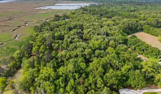 Photo #5 of 681 Grand Oak Dr., Georgetown, SC 1.9 acres