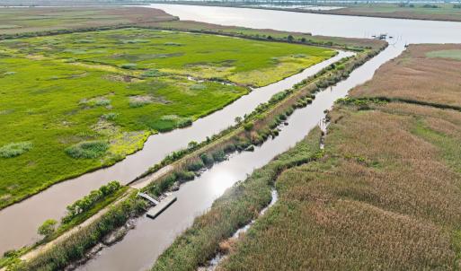 Photo #12 of 681 Grand Oak Dr., Georgetown, SC 1.9 acres