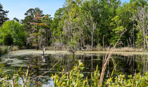 Photo #11 of 681 Grand Oak Dr., Georgetown, SC 1.9 acres